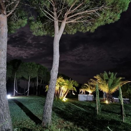 Agriturismo La Pergola كاستيغليون ديل لاغو المظهر الخارجي الصورة